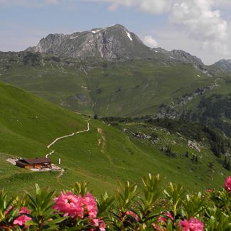 Von der Bergstation Steffisalp zur Punschhütte