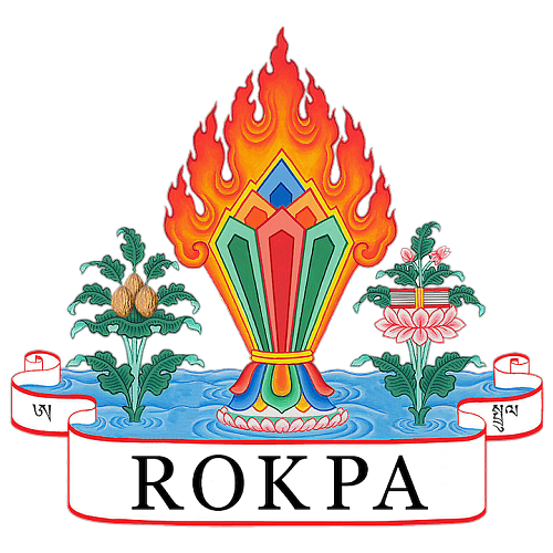 Logo ROKPA