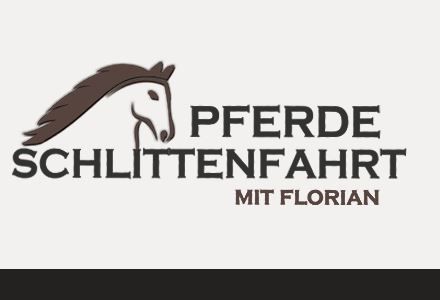 Pferdeschlittenfahrt mit Florian.