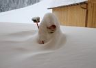 Schneemann von Schneesturm eingehüllt